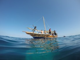 DCIM100GOPROGOPR1318.